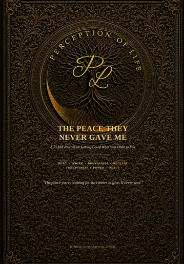 Cover of The Peace They Never Gave Me