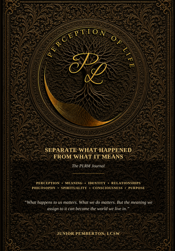 Cover of Separate What Happened From What It Means