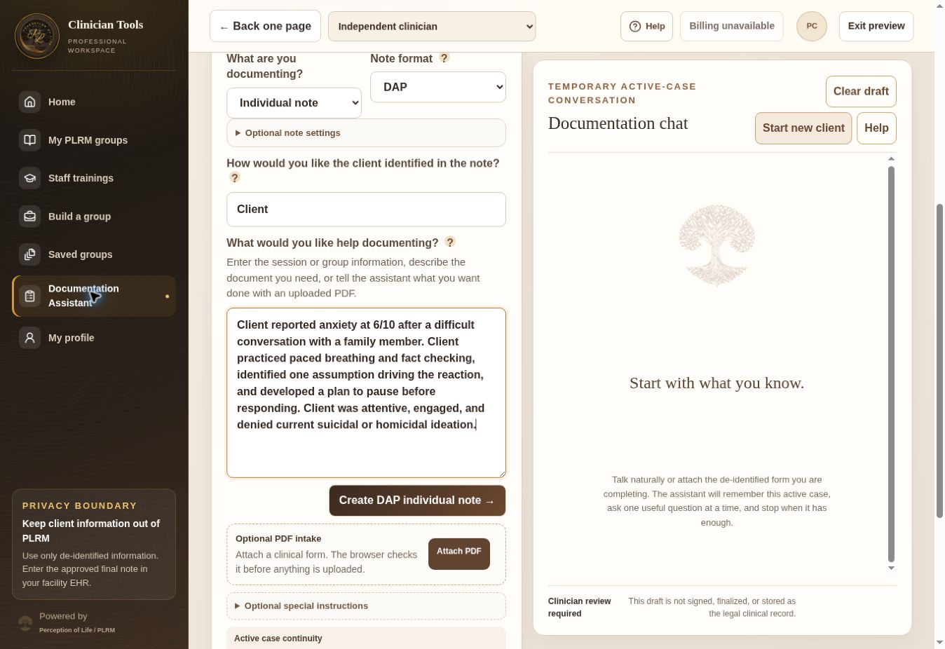 Actual PLRM Documentation Assistant input screen using fictional information